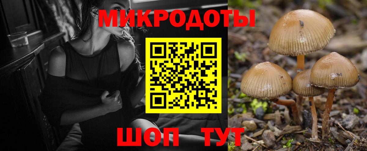 Петропавловск-Камчатский  Галлюциногенные грибы Magic Shrooms  Галлюциногенные грибы прущие грибы  Вход с VPN 